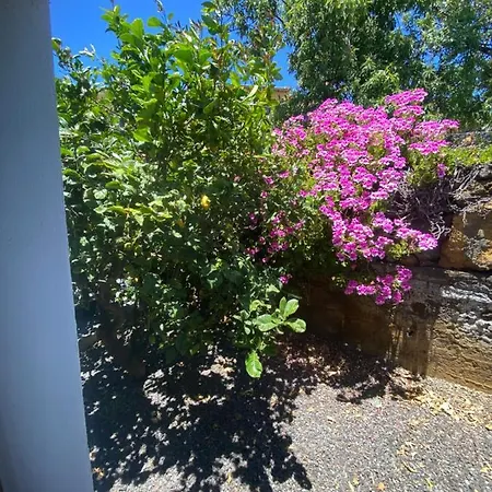 Casa Pancho Holiday home